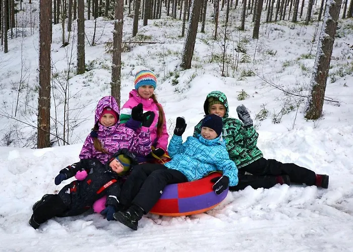 别墅 Gerika 2 Enonkoski