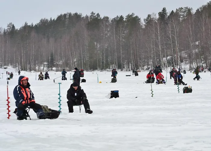 别墅 Gerika 2 Enonkoski